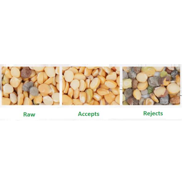 Vibrated 6 Chutes Corn Color Sorter Cashew Colour Sorting Machine