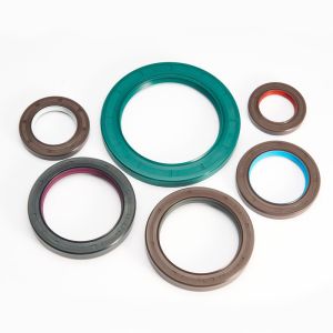 FKM Oil Seals For Lubrication And Sealing System