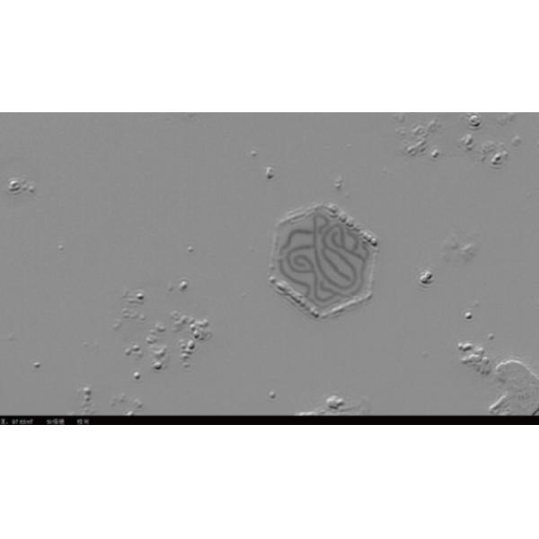Cryogenic Kerr Microscope High Magnetic Field Laser Kerr Imaging System