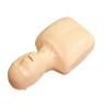Buy cheap Simple Cardiopulmonary Resuscitation Simulated Manikin For Training from wholesalers