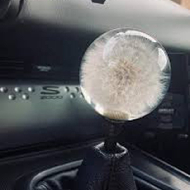 Buy cheap 70mm Crystal Resin Shift Knob Real Flowers Dandelion Shift Knob product