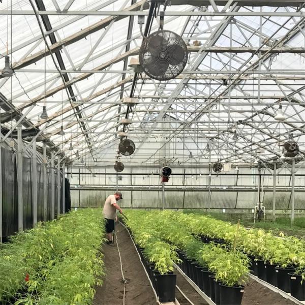 Quality Blackout System Polycarbonate Greenhouse Light Deprivation PC Greenhouse for sale