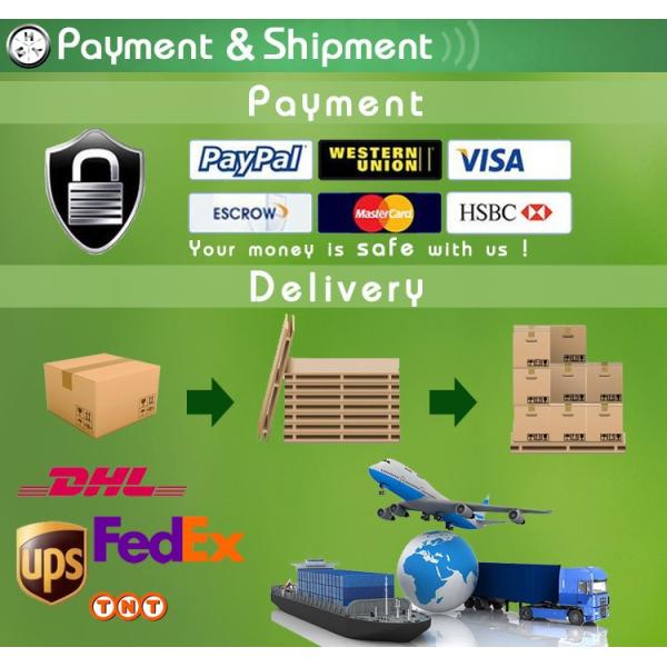3-Payment-and-Shipment.jpg
