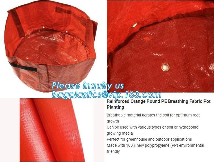 customized waterproof green pe car protector,environmental firendly, car boot liner, reusable, durable,economical,sample