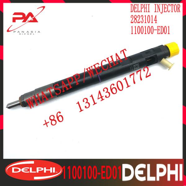 28231014 DELPHI Diesel Fuel Injector For Great Wall Autombile 1100100-ED01