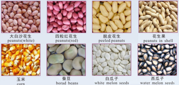 peanuts colour sorter, peanuts colour sorting machine, peanuts processing machine