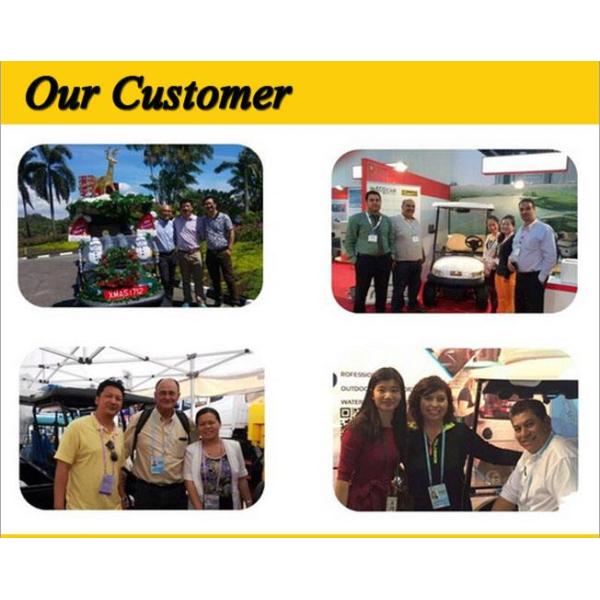 11 Passenger Fully Enclosed Electric Sightseeing Shuttle Bus