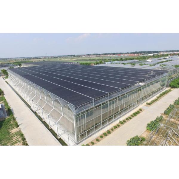 Shipping Container Greenhouse for Leafy Vegetables