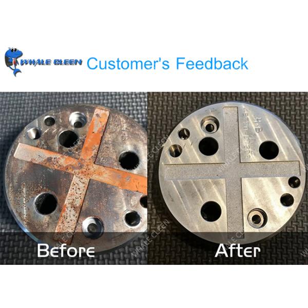 Blue Whale Electrolytic Ultrasonic Cleaning Equipment Environmental Friendly