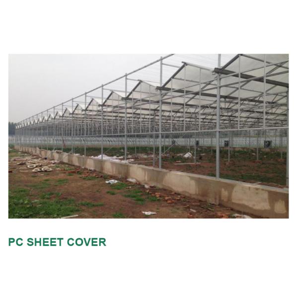 Greenhouse Multi Span Agriculture Polycarbonate Greenhouse for Optimal Air Flow