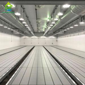Multispan 28m-50m Length Light Deprivation Greenhouse With Blackout System