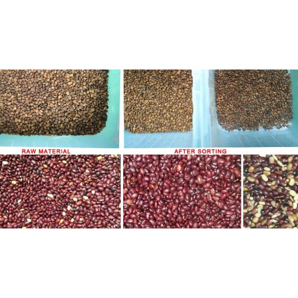 220V / 50Hz Wenyao Color Sorter Machine For Coffee Bean Cherry
