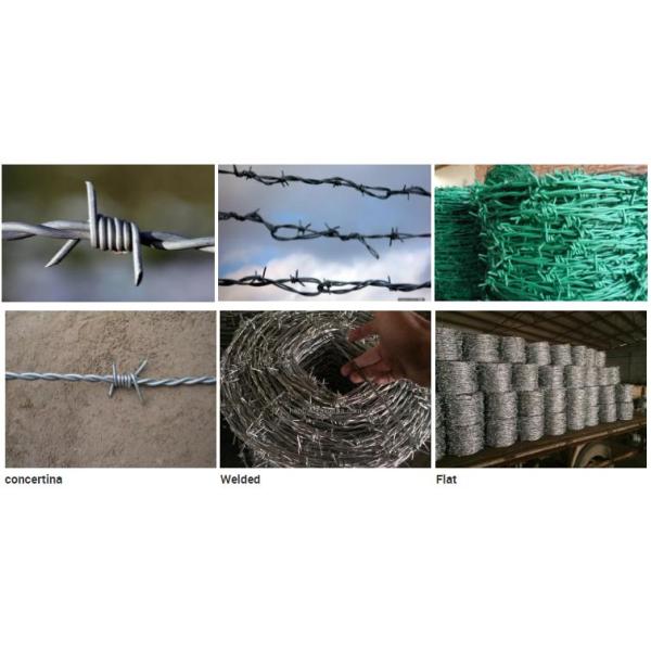 14 Guage Hot Dipped Galvanized Barbed Wire For Modern Security Fencing