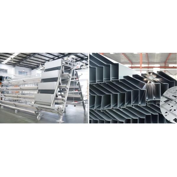 Automatic Broiler Cage Steel Poultry Houses Easy Chicken Out