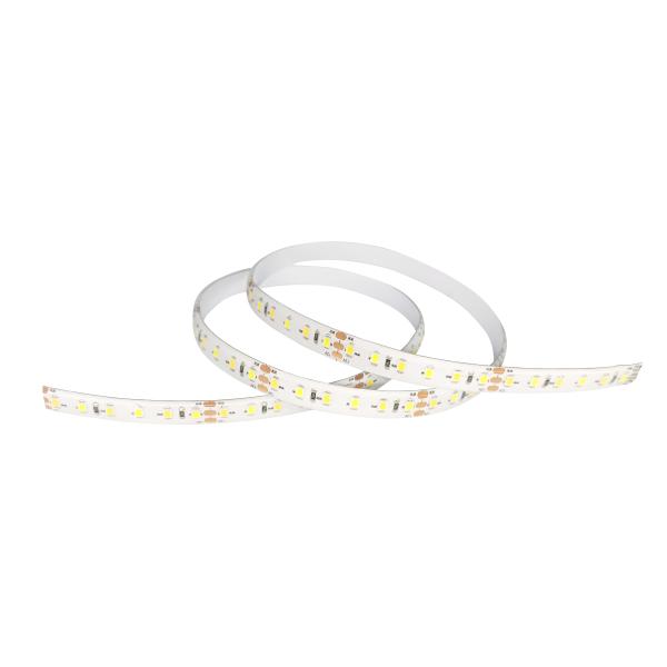 12V/24V Dimmable SMD 2835 LED Strip Light Soft Neon Lamp Waterproof IP65