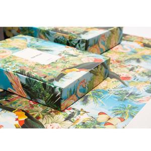 CMYK Foldable Packaging Box