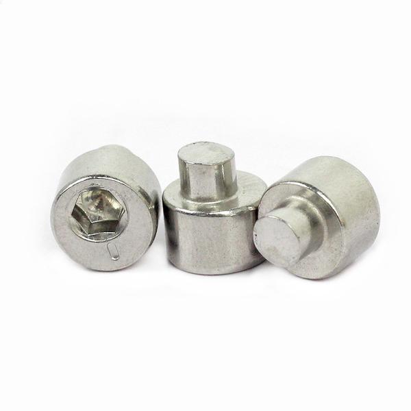 Precision Stainless Steel Rollenband Excenter Screw 304/316 Corrosion Resistant Custom Sizes Surface Finishes