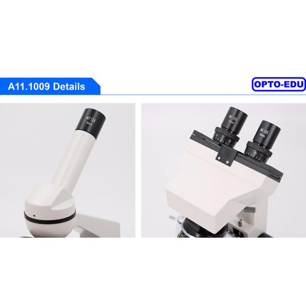 OPTO EDU A11.1009-E Sliding Binocular Compound Microscope For Student