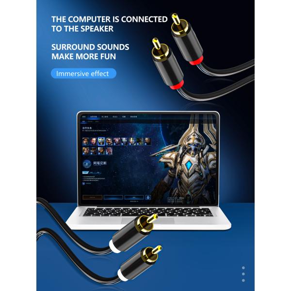 2RCA To 2RCA Audio And Video Cable