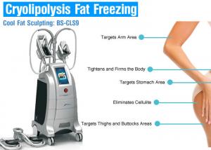 China 4 Handles Fat Freezing Cryolipolysis Body Slimming Machine For Weight Loss /  Cellulite Reduction on sale