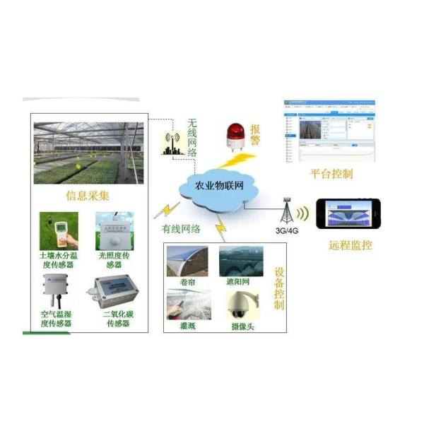 Shipping Container Greenhouse for Leafy Vegetables