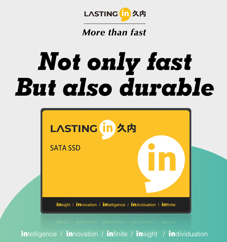 LASTINGIN 2.5 SATA SSD Internal Solid State Drive