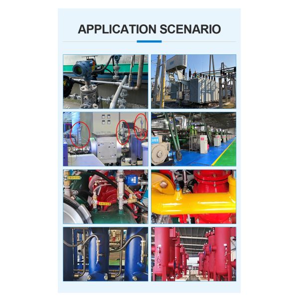 Sterilization fermentation with High Accuracy 2-core Pt100 Needle Point Probe RTD Temperature Sensor