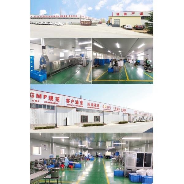 Pharmaceutical Aluminum Plastic Cap Screw Vial Cap