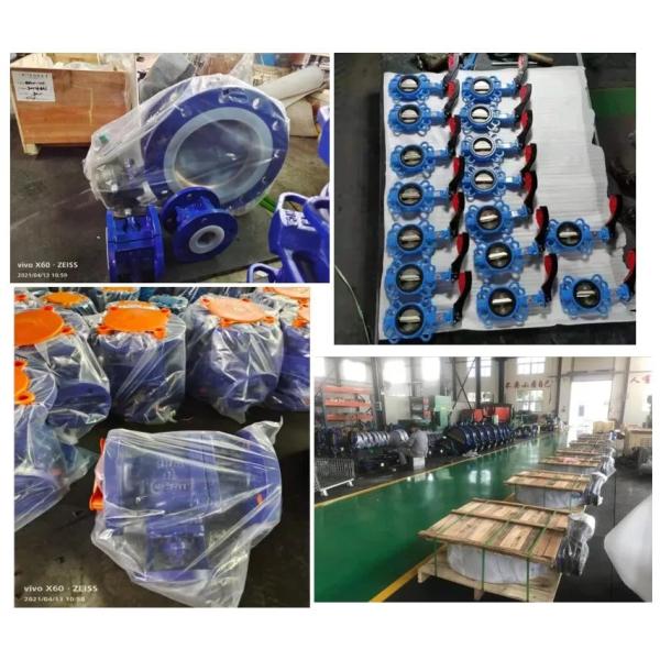 Excellent Pneumatic Rotary Actuator Butterfly Valve with Support After-sales Service