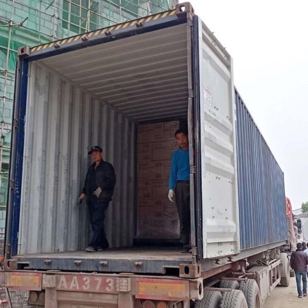 Single Use Disposable Surgical Mask , Non Woven Surgical Face Mask Earloop Style