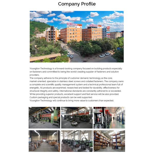 HN25C Hardened Stainless Steel Collated Nails With Dome Head