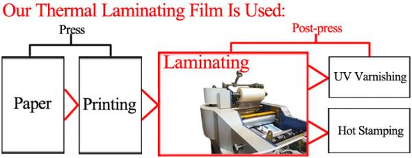 Print Finishing Lamination Bopp Film Roll Glossy / Matt Type EVA Heat Sensitive Layer