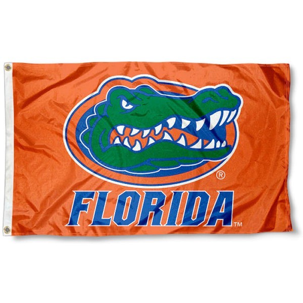 Promotional Outside With Logo Custom Print Outdoor Advertising Election Flag For Events