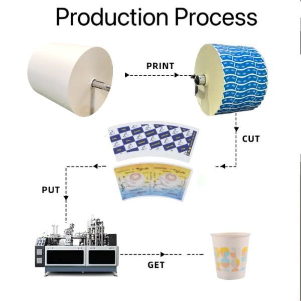 PE PLA coated paper cup fan sample