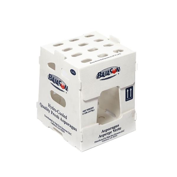 PP Corrugated Plastic Box for Vegetable and Fruit Box