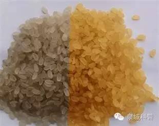 Automatic Artificial Nutritional Rice Making Machine Plant Energy Saving