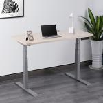 Electric Height Adjustable Office Computer Laptop Desk Modern Executive Design