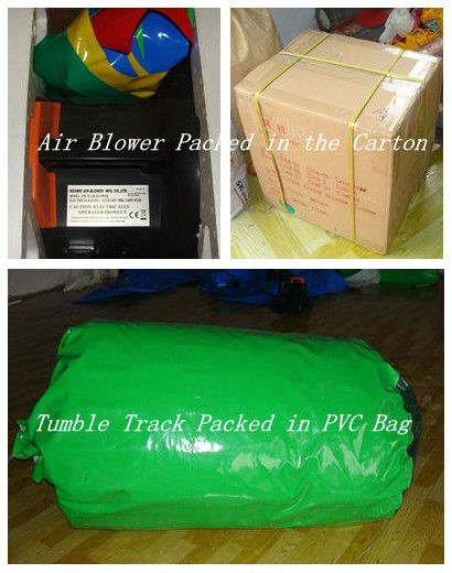 Inflatable Bouncer / Bouncer house / Car Bouncer 0.55mm pvc tarpaulin 5*5m