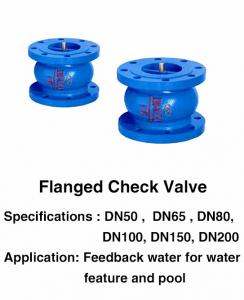 Buy cheap Pool Fountain Accessories Refined DN25 1 Inch Flanged Check Valve product