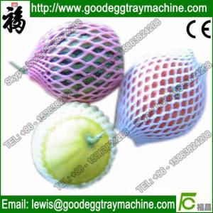 EPE Foam Fruit Net Extruder (FCEPEW-75 )
