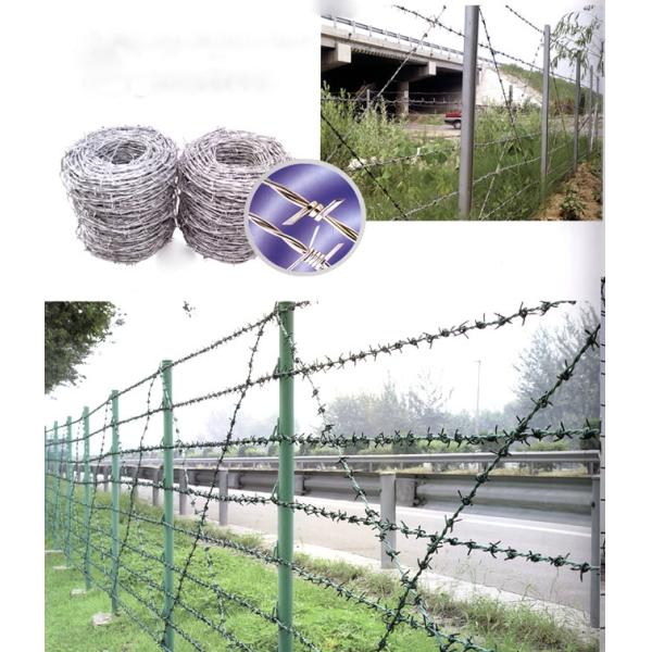 Galvanized Barbed wire