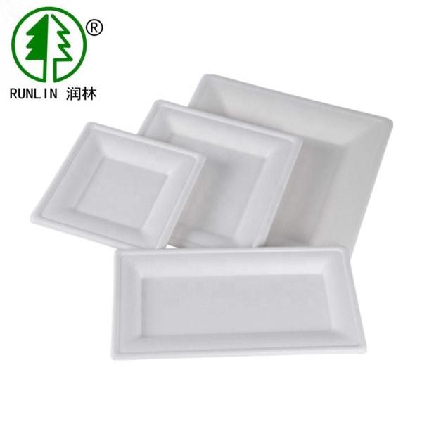 Rectangular Biodegradable Sugarcane Bagasse Plates Environmentally Friendly
