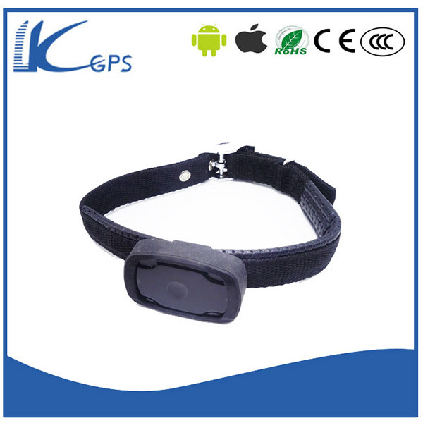 China Small Waterproof Rechargeable Accuracate Location Gps Mini Dog Tracker LK120 on sale