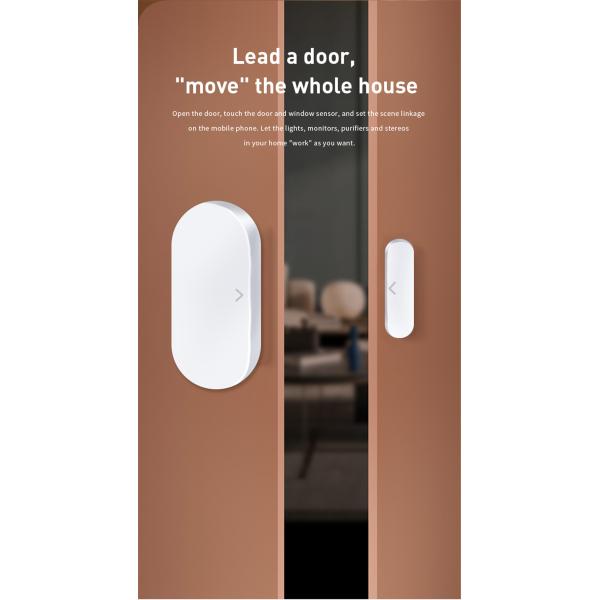 Zigbee Door/Window Sensor(JMWZG05)