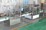 500ml Bottle Rinsing Machine
