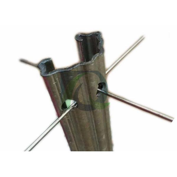 54x30MM Table Grape Trellis Systems Galvanised Steel Posts With N Shaped Holes