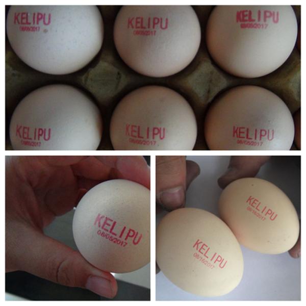 Professional Egg Stamping Machine Laser Batch Coding Machine 600dpi Resolution