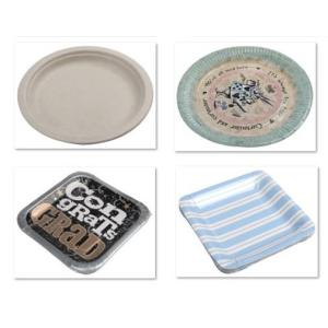 Custom Printed Christmas theme Disposable Paper Plates