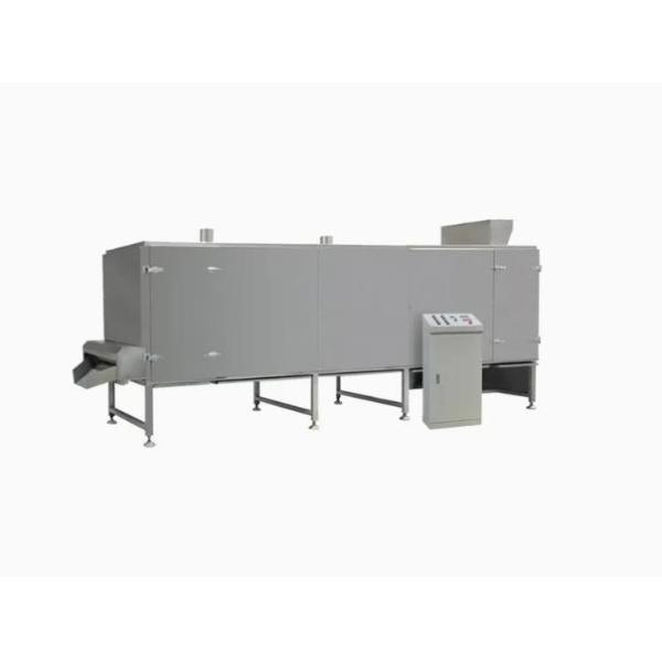 Kelloggs Corn Flakes Processing Line