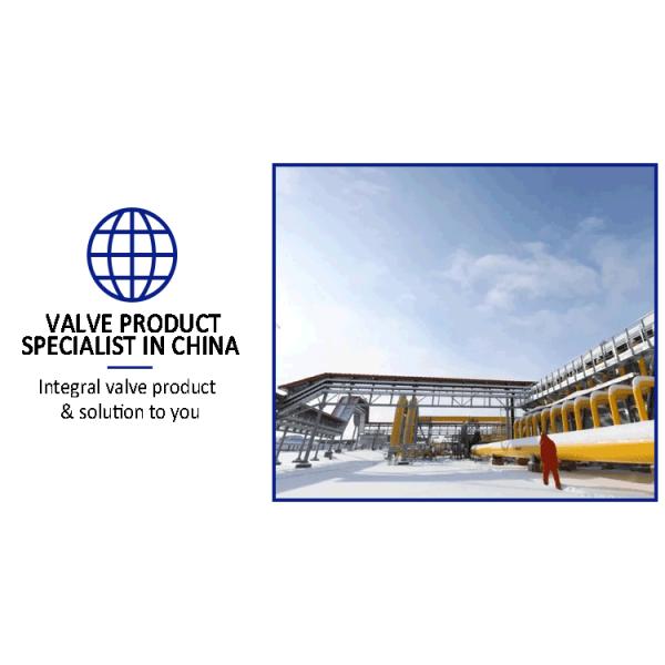 High Temperature Electric Actuated Cast Iron Globe Valve for Industrial Applications